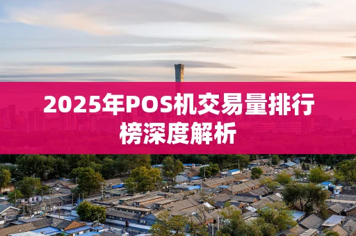 2025年POS机交易量排行榜深度解析 2025年POS机交易量排行榜深度解析