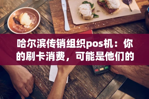 哈尔滨传销组织pos机:你的刷卡消费,可能是他们的“业绩” 哈尔滨传销组织pos机:你的刷卡消费,可能是他们的“业绩”