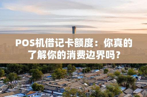 POS机借记卡额度:你真的了解你的消费边界吗? POS机借记卡额度:你真的了解你的消费边界吗?
