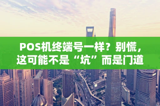 POS机终端号一样?别慌,这可能不是“坑”而是门道 POS机终端号一样?别慌,这可能不是“坑”而是门道