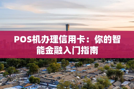 POS机办理信用卡:你的智能金融入门指南 POS机办理信用卡:你的智能金融入门指南