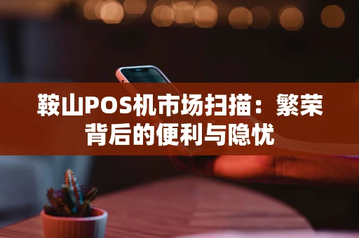 鞍山POS机市场扫描：繁荣背后的便利与隐忧