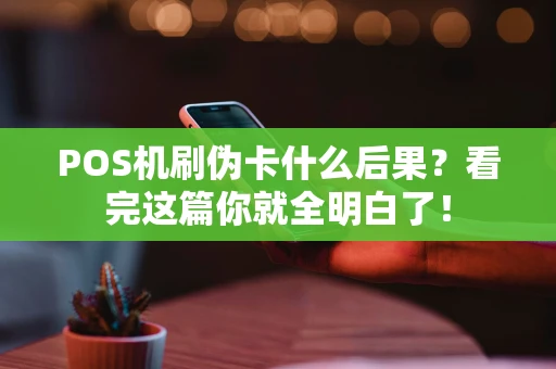 POS机刷伪卡什么后果?看完这篇你就全明白了! POS机刷伪卡什么后果?看完这篇你就全明白了!