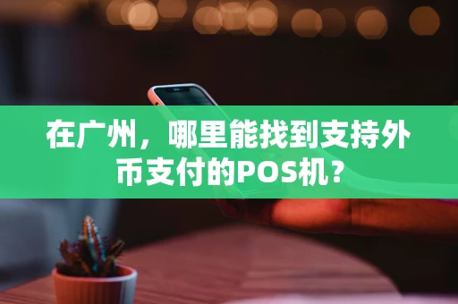 在广州,哪里能找到支持外币支付的POS机? 在广州,哪里能找到支持外币支付的POS机?