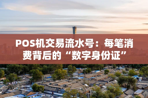 POS机交易流水号：每笔消费背后的“数字身份证”