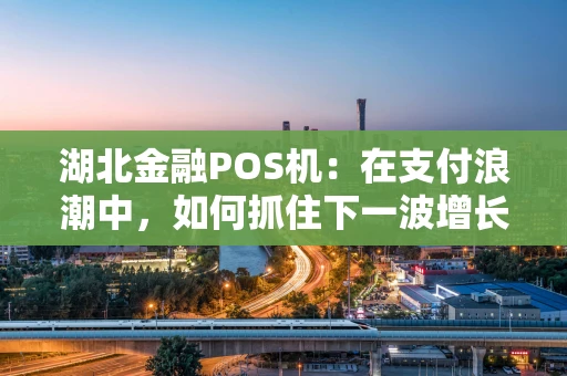 湖北金融POS机：在支付浪潮中，如何抓住下一波增长点？