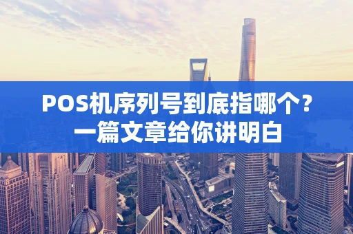 POS机序列号到底指哪个?一篇文章给你讲明白 POS机序列号到底指哪个?一篇文章给你讲明白