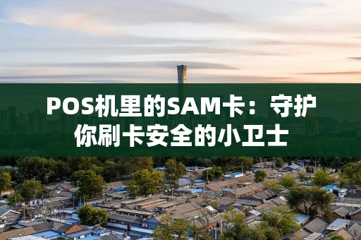 POS机里的SAM卡：守护你刷卡安全的小卫士