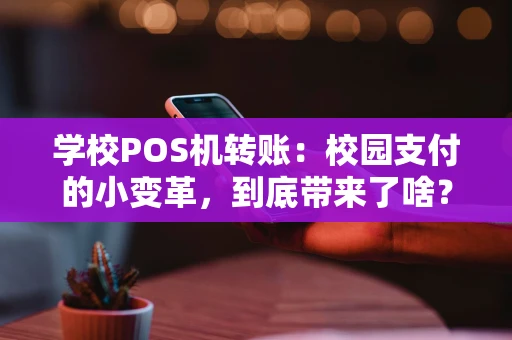 学校POS机转账：校园支付的小变革，到底带来了啥？