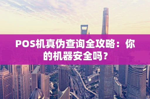 POS机真伪查询全攻略：你的机器安全吗？