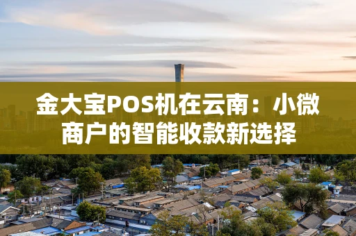 金大宝POS机在云南：小微商户的智能收款新选择