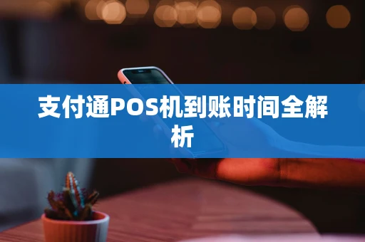 支付通POS机到账时间全解析 支付通POS机到账时间全解析
