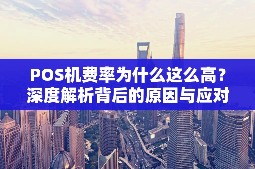 POS机费率为什么这么高？深度解析背后的原因与应对策略