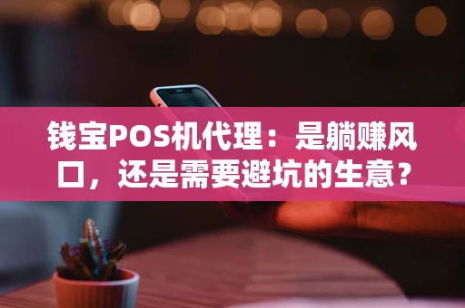 钱宝POS机代理：是躺赚风口，还是需要避坑的生意？
