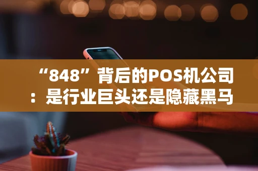 “848”背后的POS机公司：是行业巨头还是隐藏黑马？