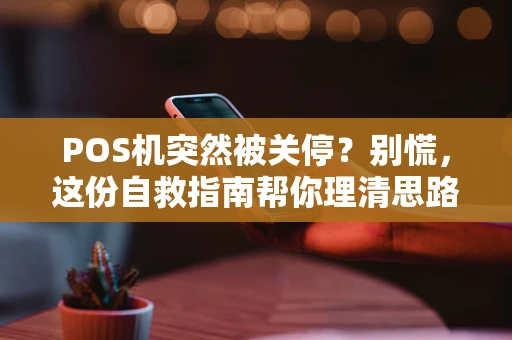 POS机突然被关停？别慌，这份自救指南帮你理清思路