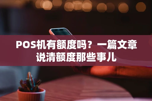 POS机有额度吗？一篇文章说清额度那些事儿