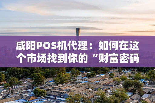 咸阳POS机代理：如何在这个市场找到你的“财富密码”？