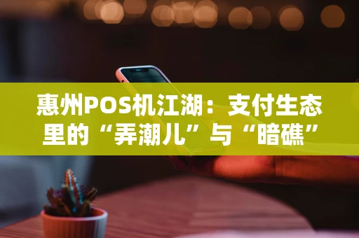 惠州POS机江湖：支付生态里的“弄潮儿”与“暗礁”