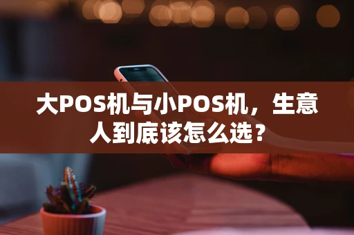 大POS机与小POS机，生意人到底该怎么选？