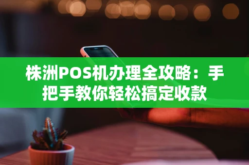 株洲POS机办理全攻略：手把手教你轻松搞定收款
