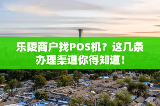 乐陵商户找POS机？这几条办理渠道你得知道！