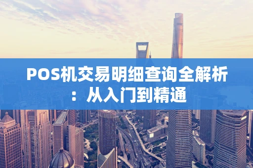 POS机交易明细查询全解析：从入门到精通