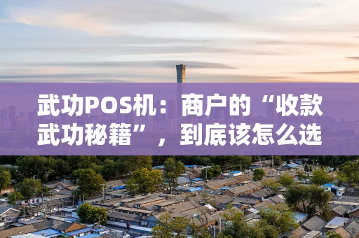 武功POS机：商户的“收款武功秘籍”，到底该怎么选？
