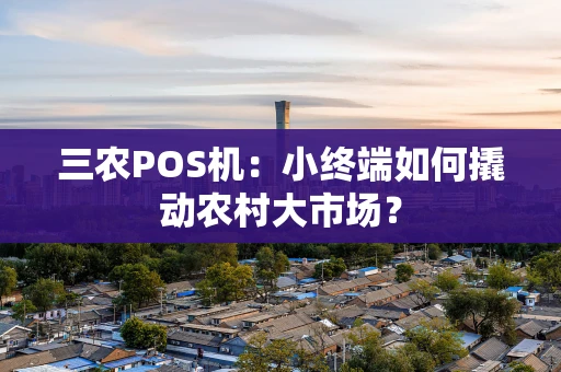 三农POS机：小终端如何撬动农村大市场？