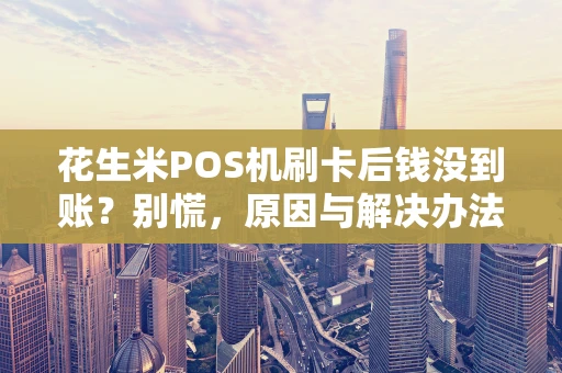 花生米POS机刷卡后钱没到账？别慌，原因与解决办法全在这！