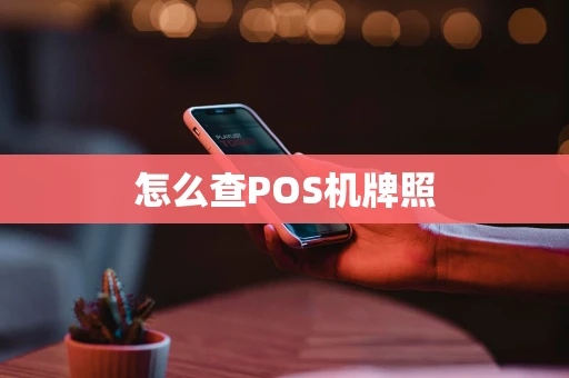 怎么查POS机牌照