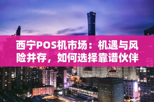 西宁POS机市场：机遇与风险并存，如何选择靠谱伙伴？