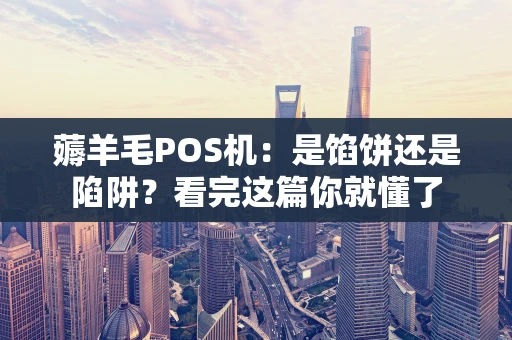 薅羊毛POS机：是馅饼还是陷阱？看完这篇你就懂了