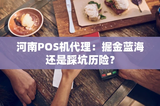 河南POS机代理：掘金蓝海还是踩坑历险？