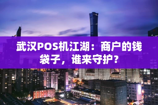 武汉POS机江湖：商户的钱袋子，谁来守护？
