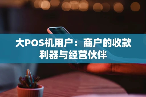 大POS机用户：商户的收款利器与经营伙伴