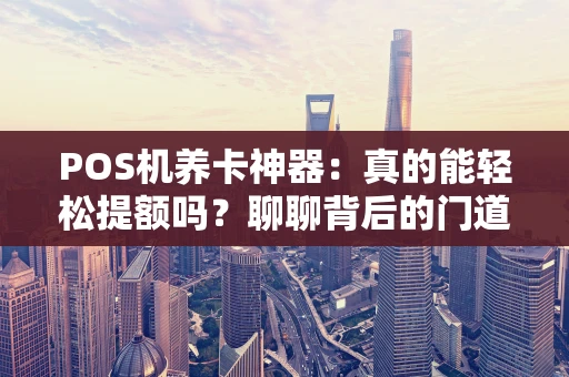 POS机养卡神器：真的能轻松提额吗？聊聊背后的门道