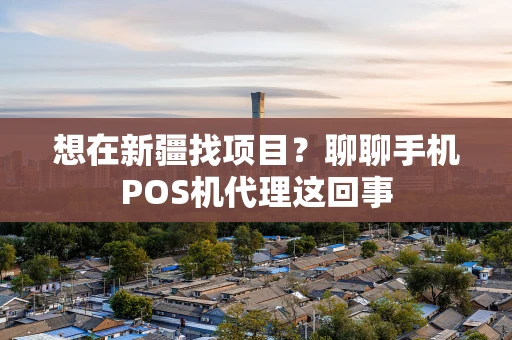 想在新疆找项目？聊聊手机POS机代理这回事