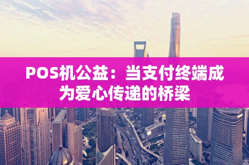 POS机公益：当支付终端成为爱心传递的桥梁