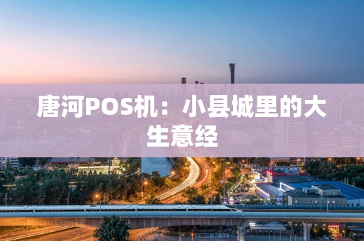 唐河POS机：小县城里的大生意经