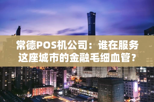 常德POS机公司：谁在服务这座城市的金融毛细血管？