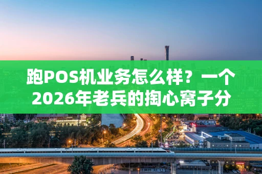 跑POS机业务怎么样？一个2026年老兵的掏心窝子分享