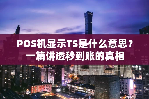 POS机显示TS是什么意思？一篇讲透秒到账的真相