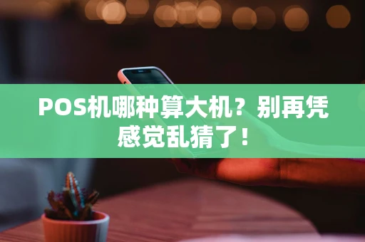POS机哪种算大机？别再凭感觉乱猜了！