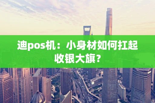 迪pos机：小身材如何扛起收银大旗？