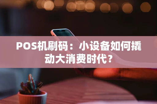 POS机刷码：小设备如何撬动大消费时代？