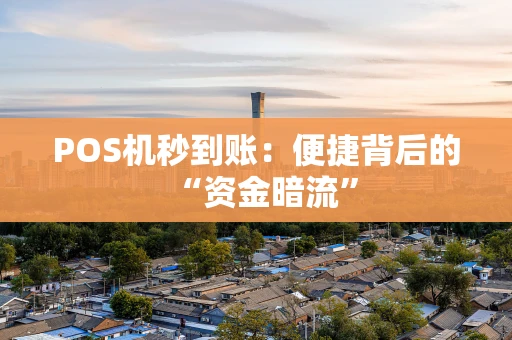 POS机秒到账：便捷背后的“资金暗流”