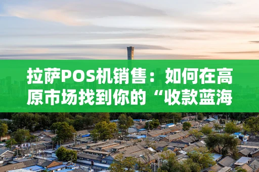 拉萨POS机销售：如何在高原市场找到你的“收款蓝海”？