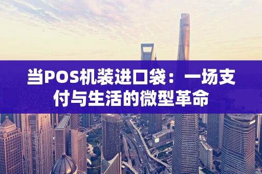 当POS机装进口袋：一场支付与生活的微型革命