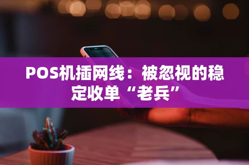 POS机插网线：被忽视的稳定收单“老兵”